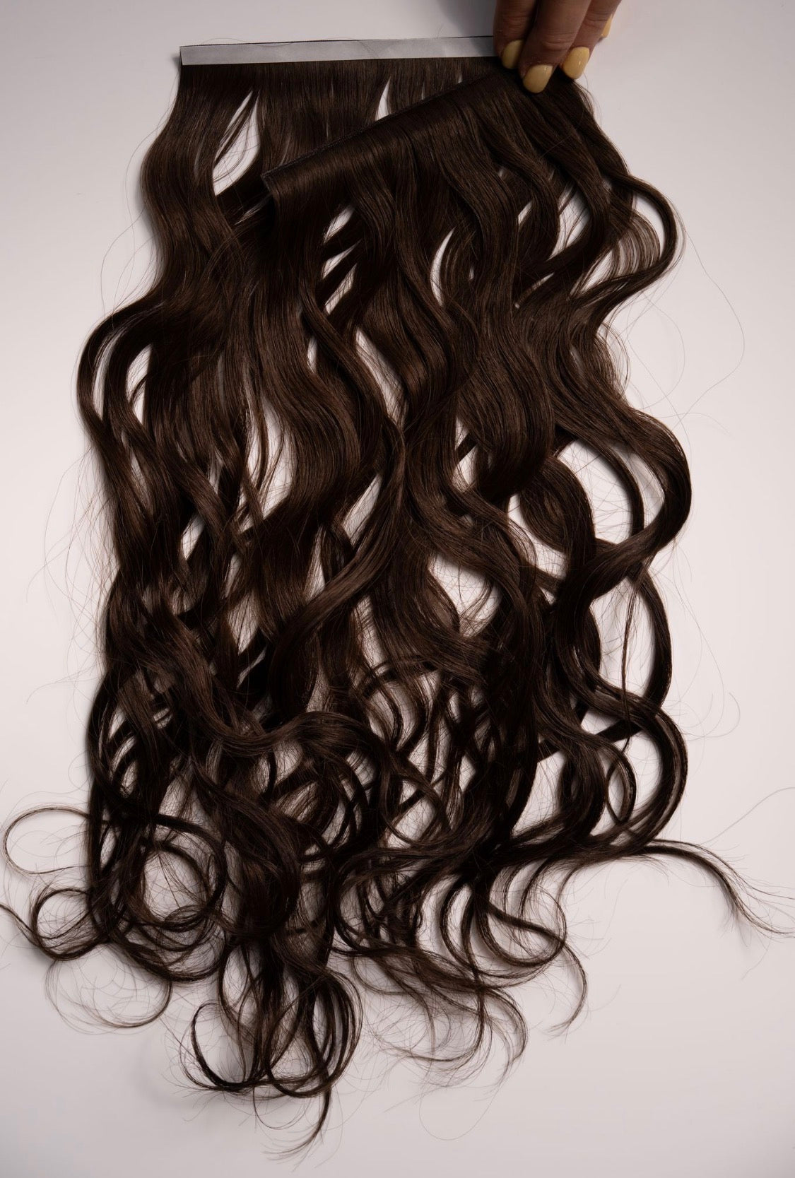 Beach Wave Collection