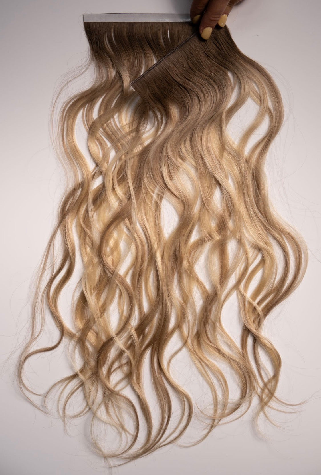 Beach Wave Collection